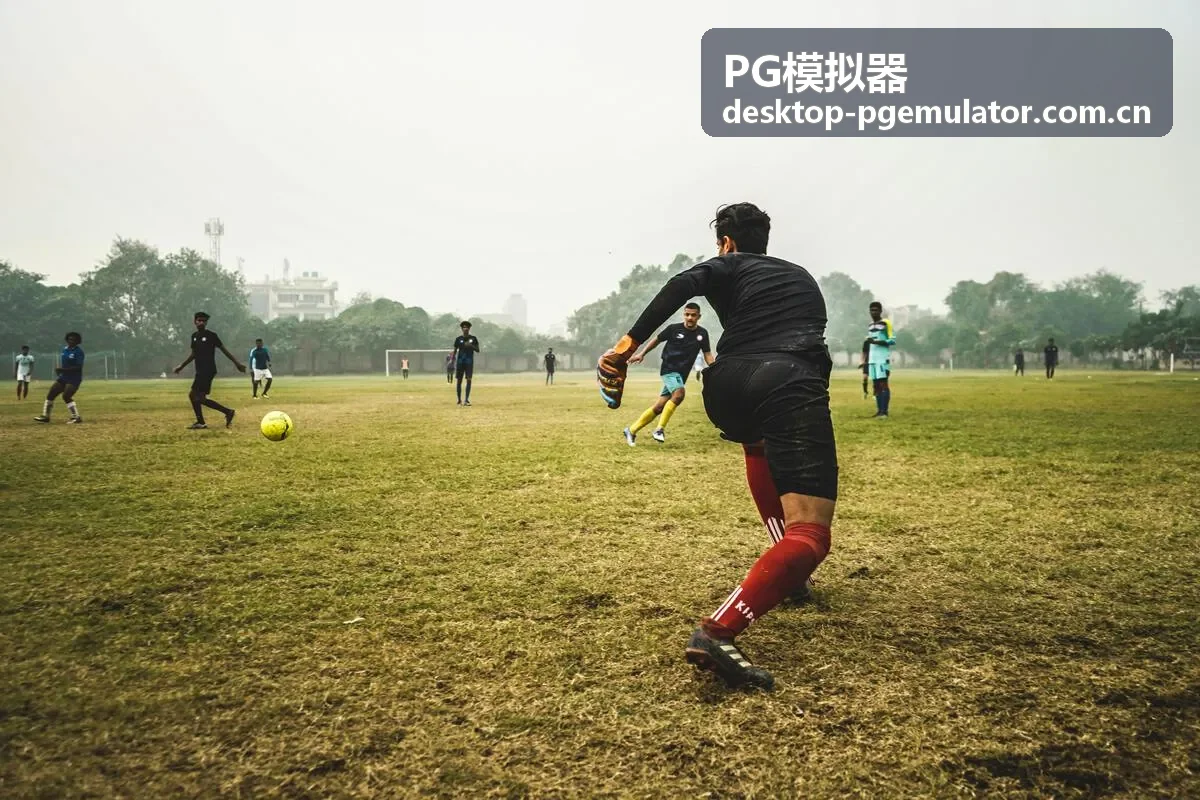 PG模拟器桌面端高性能运行环境展示